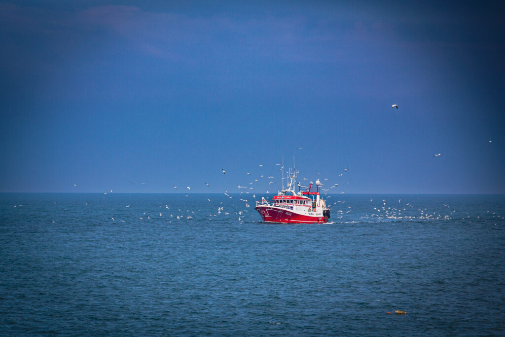 A fishing boat out at sea surrounded by gulls